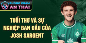 Tuổi thơ và sự nghiệp ban đầu của josh sargent