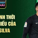 Hình ảnh thời niên thiếu của rui silva