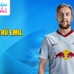 Tiểu sử cầu thủ emil forsberg