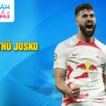 Tiểu sử cầu thủ josko gvardiol