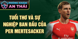 Tuổi thơ và sự nghiệp ban đầu của per mertesacker