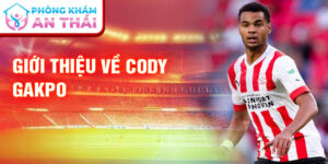 Giới thiệu về cody gakpo