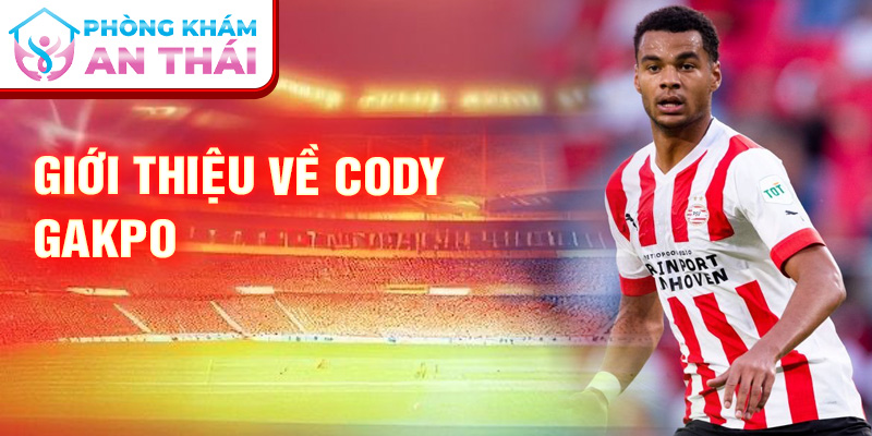 Giới thiệu về Cody Gakpo