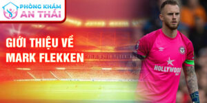 Giới thiệu về mark flekken