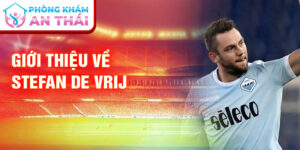 Giới thiệu về stefan de vrij