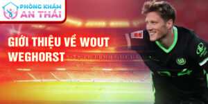 Giới thiệu về wout weghorst