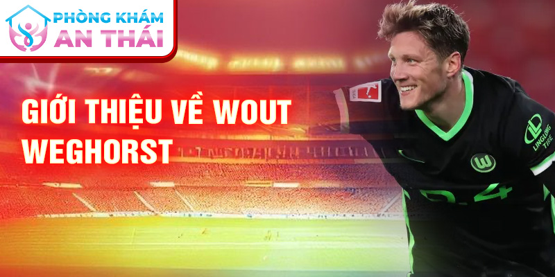 Giới thiệu về Wout Weghorst