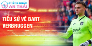 Tiểu sử về bart verbruggen