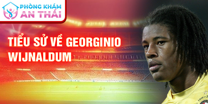 Tiểu sử về Georginio Wijnaldum