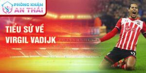 Tiểu sử về virgil van dijk