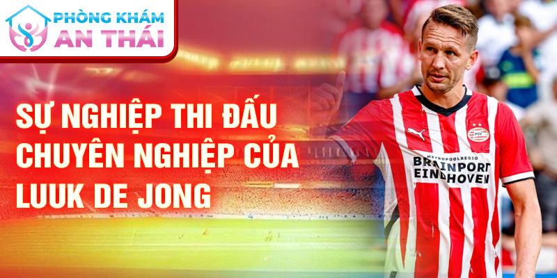 Sự nghiệp thi đấu chuyên nghiệp của Luuk de Jong